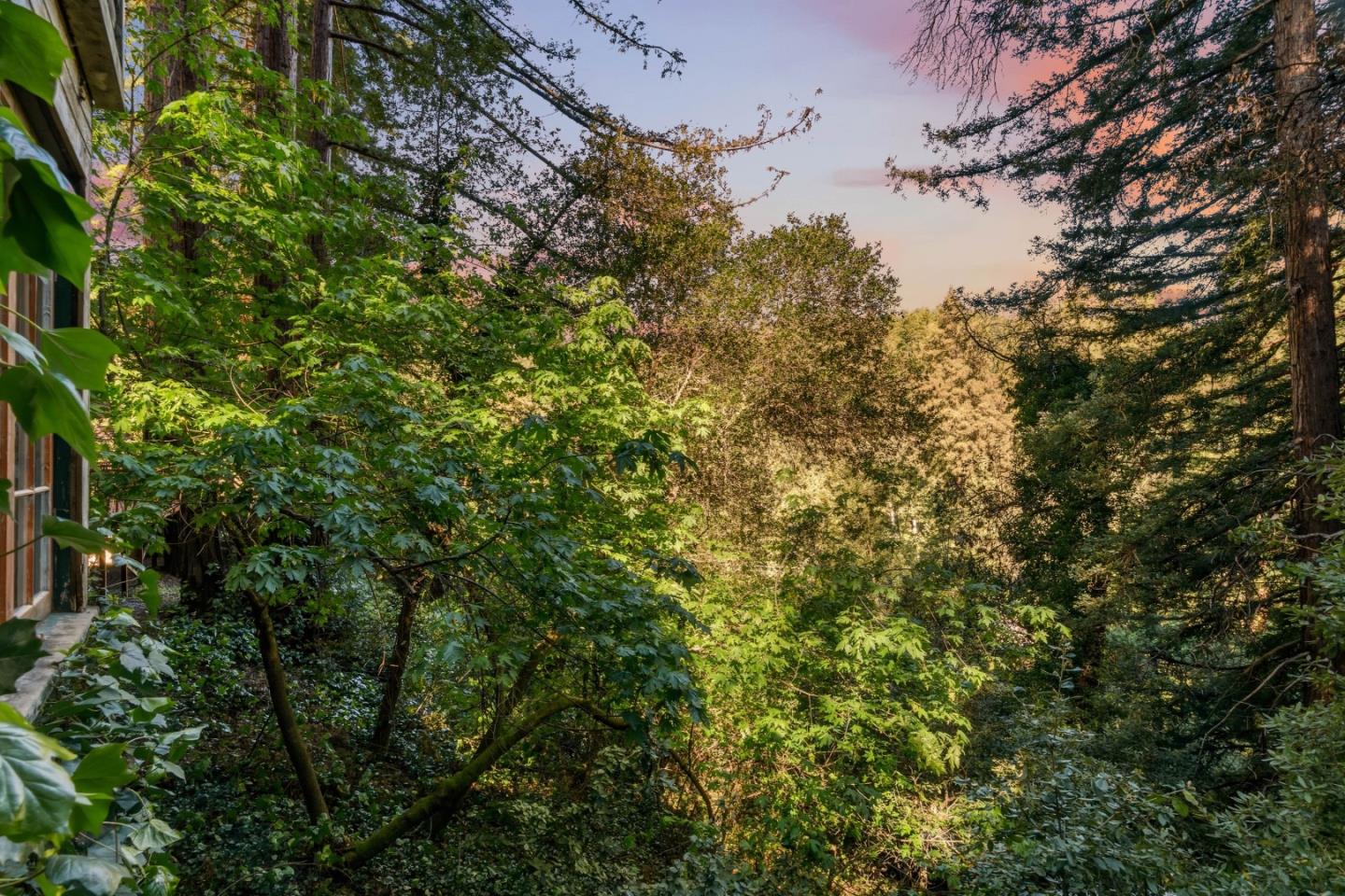 Property photo 47