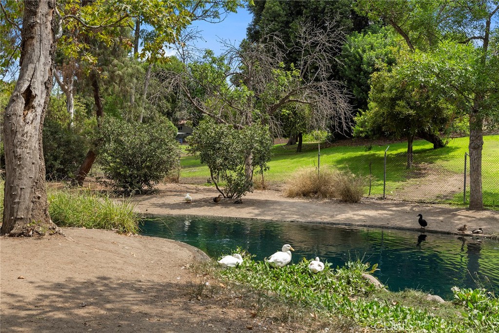 Property photo 50