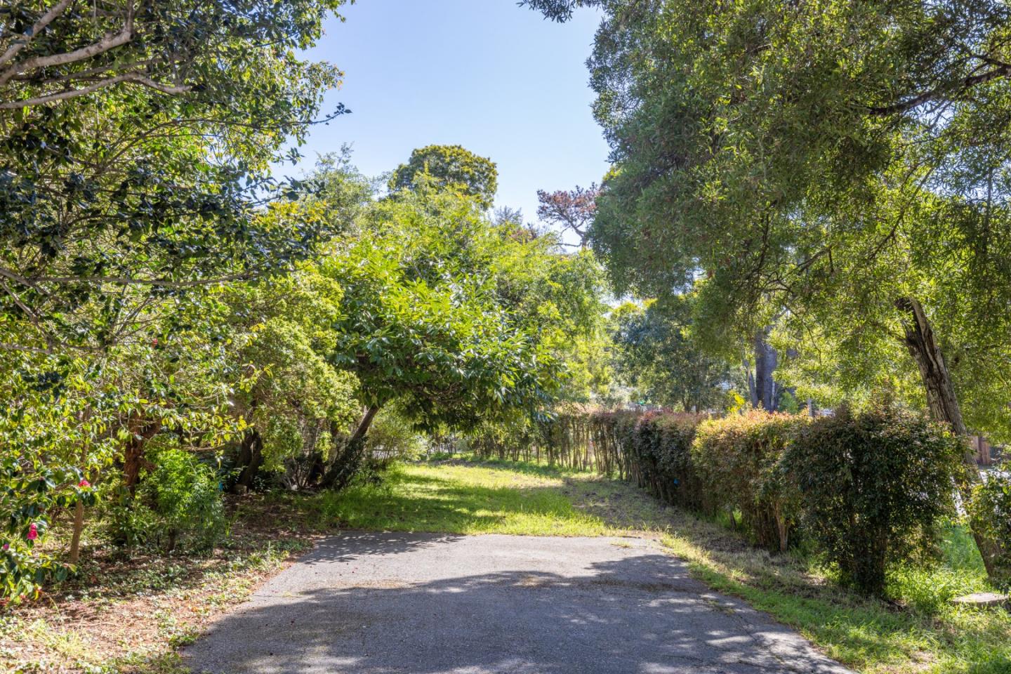 Property photo 39