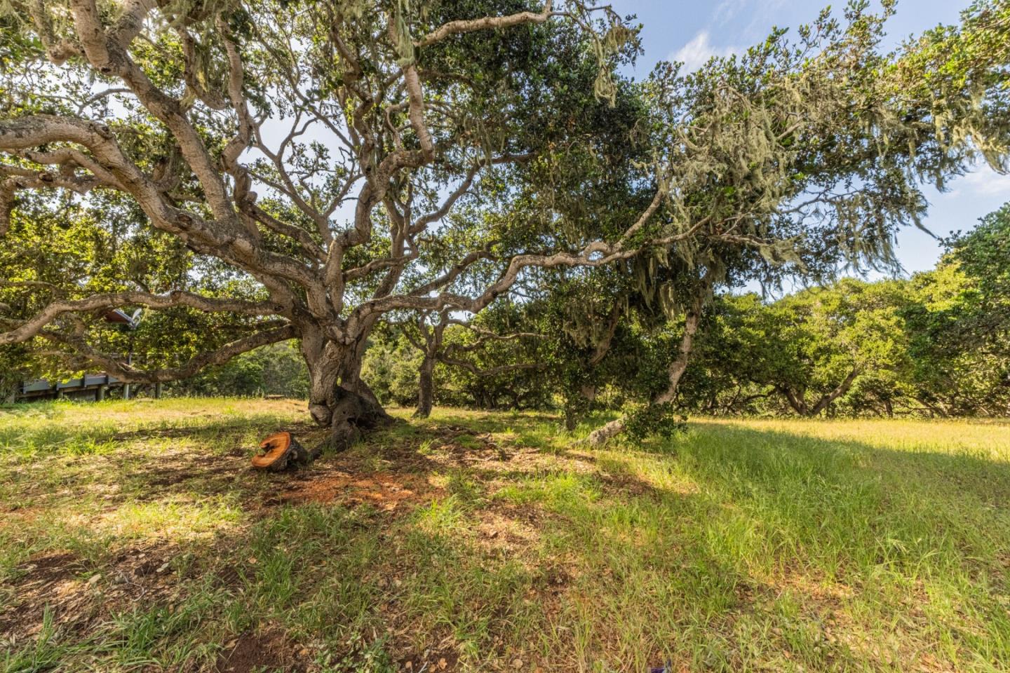Property photo 33