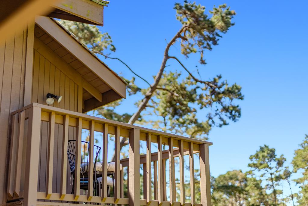 Property photo 48