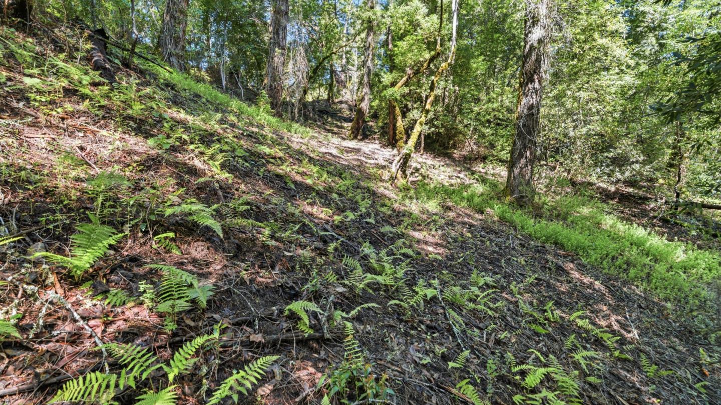Property photo 25