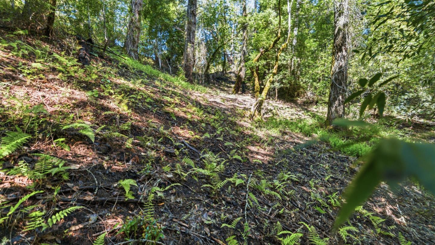 Property photo 26