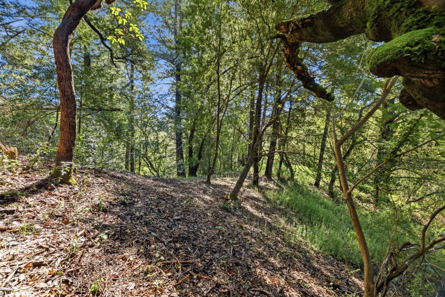 Property photo 29
