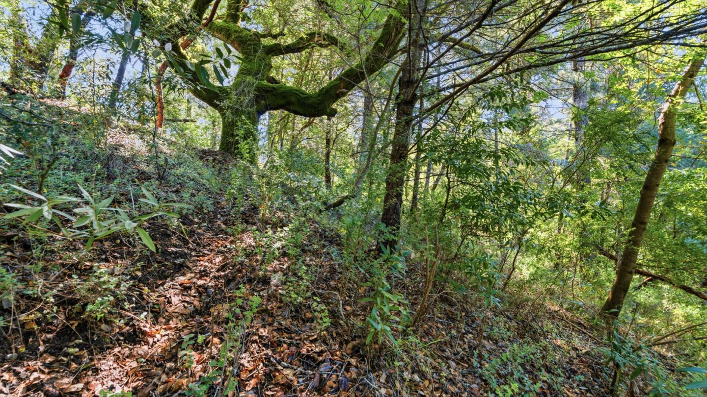 Property photo 32