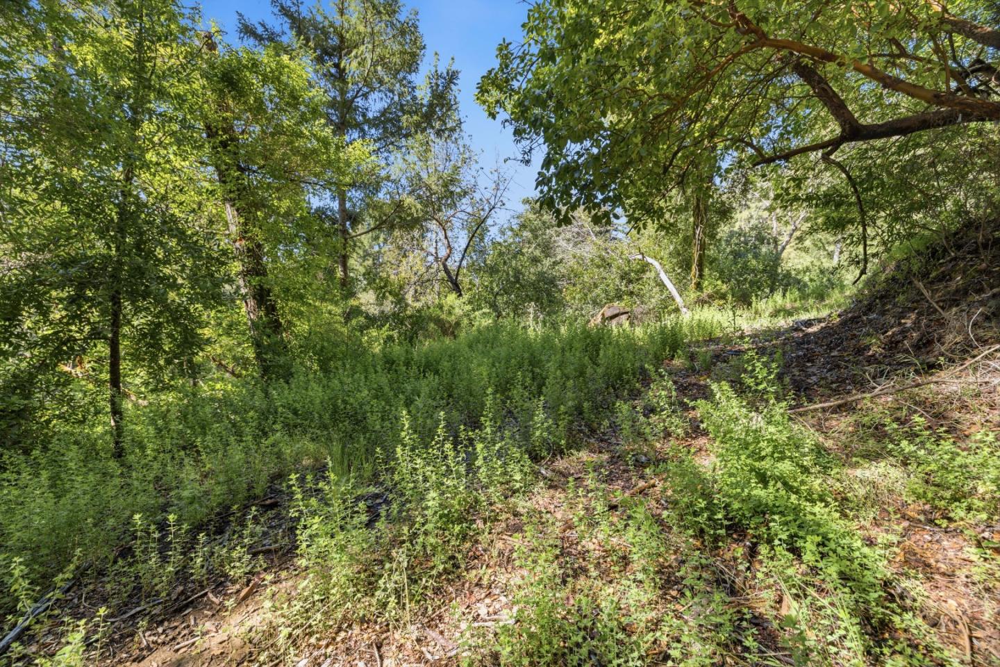 Property photo 37