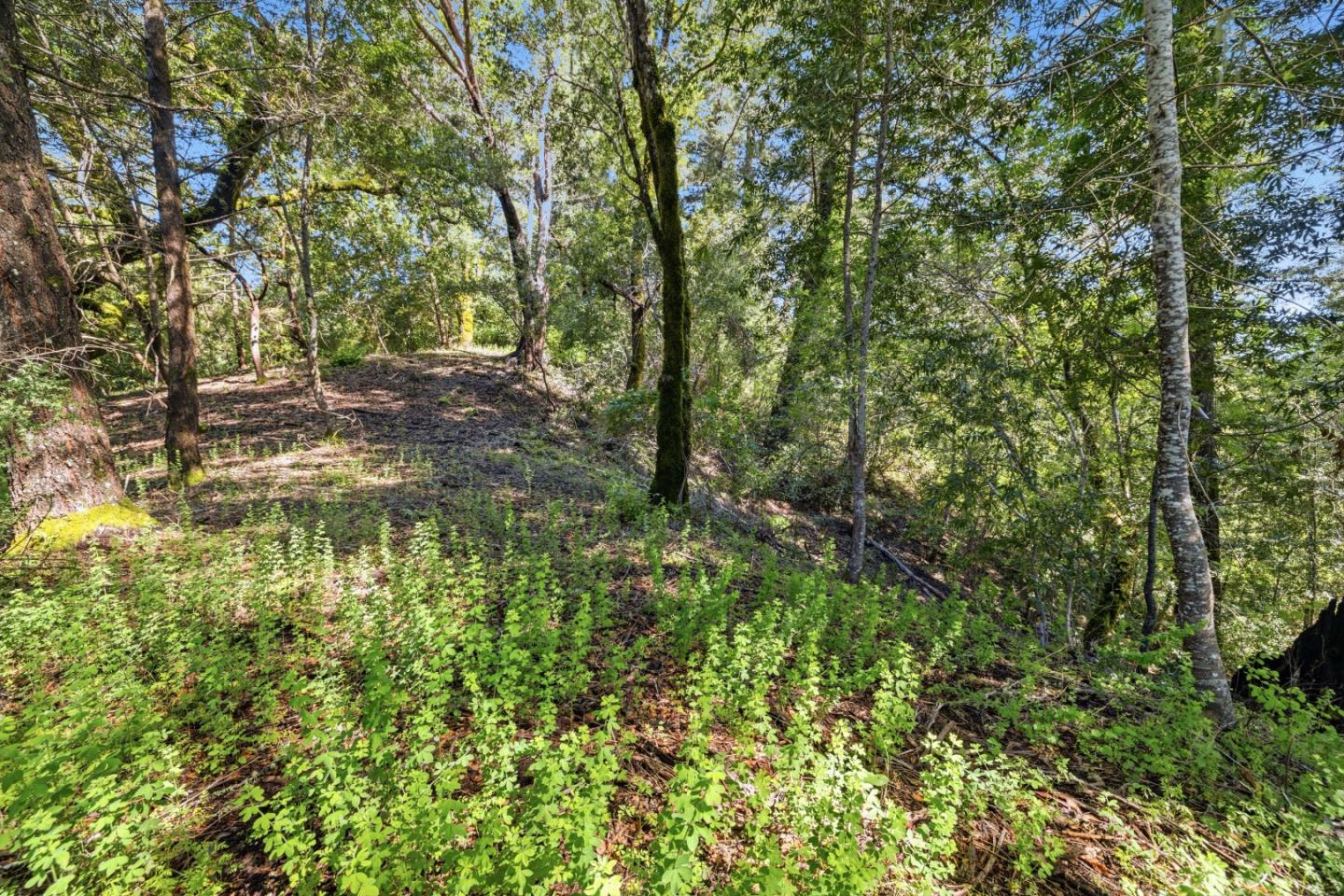 Property photo 38