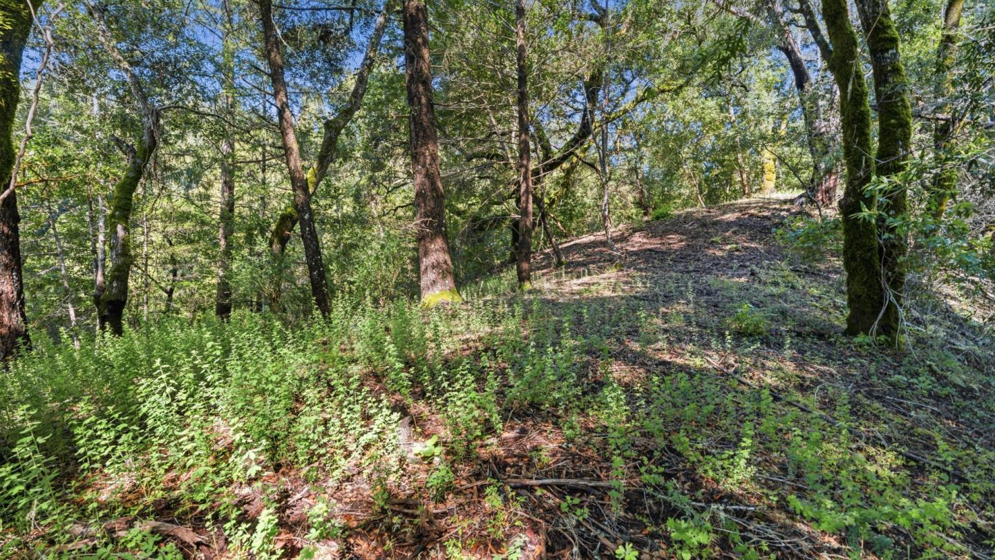 Property photo 39