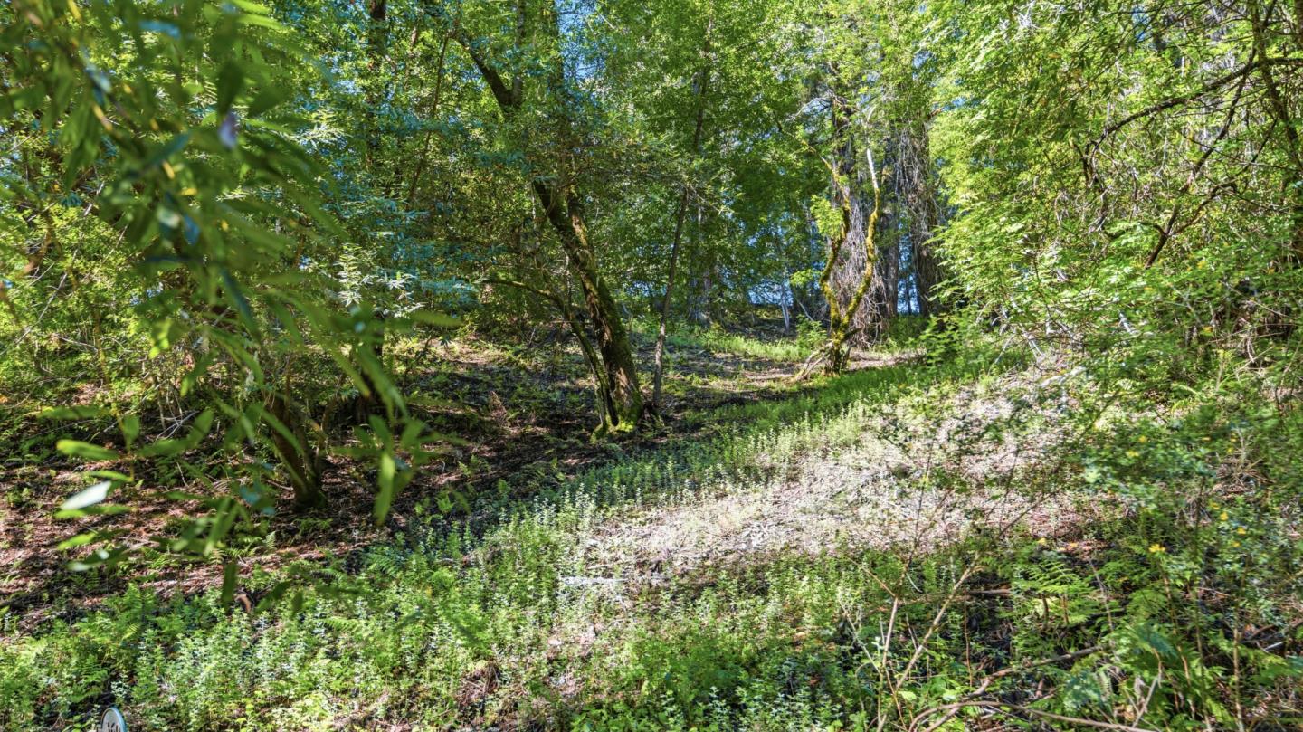 Property photo 40