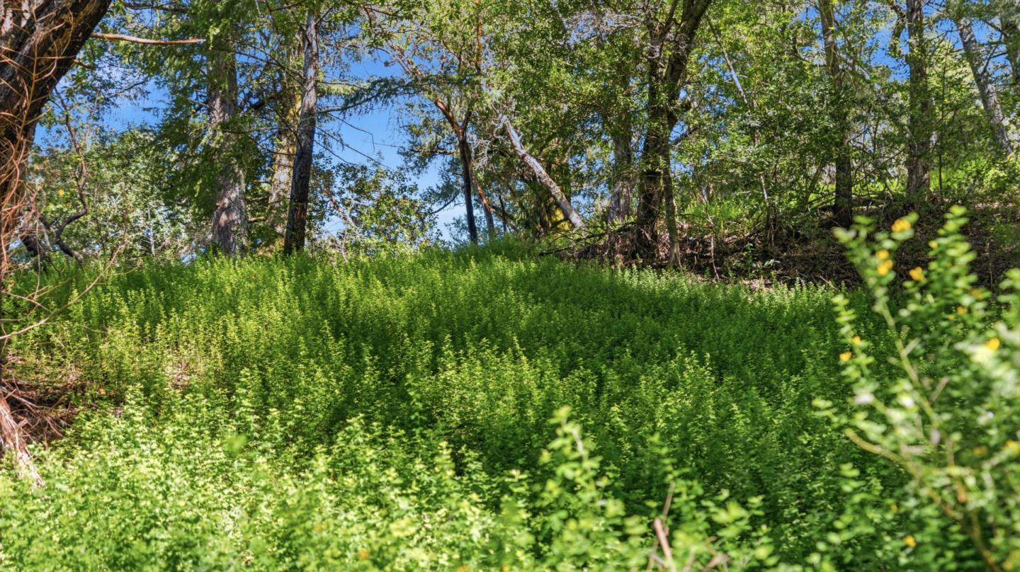 Property photo 41