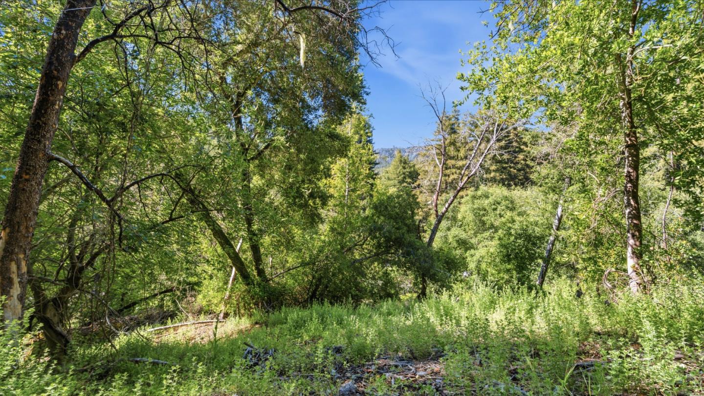 Property photo 42