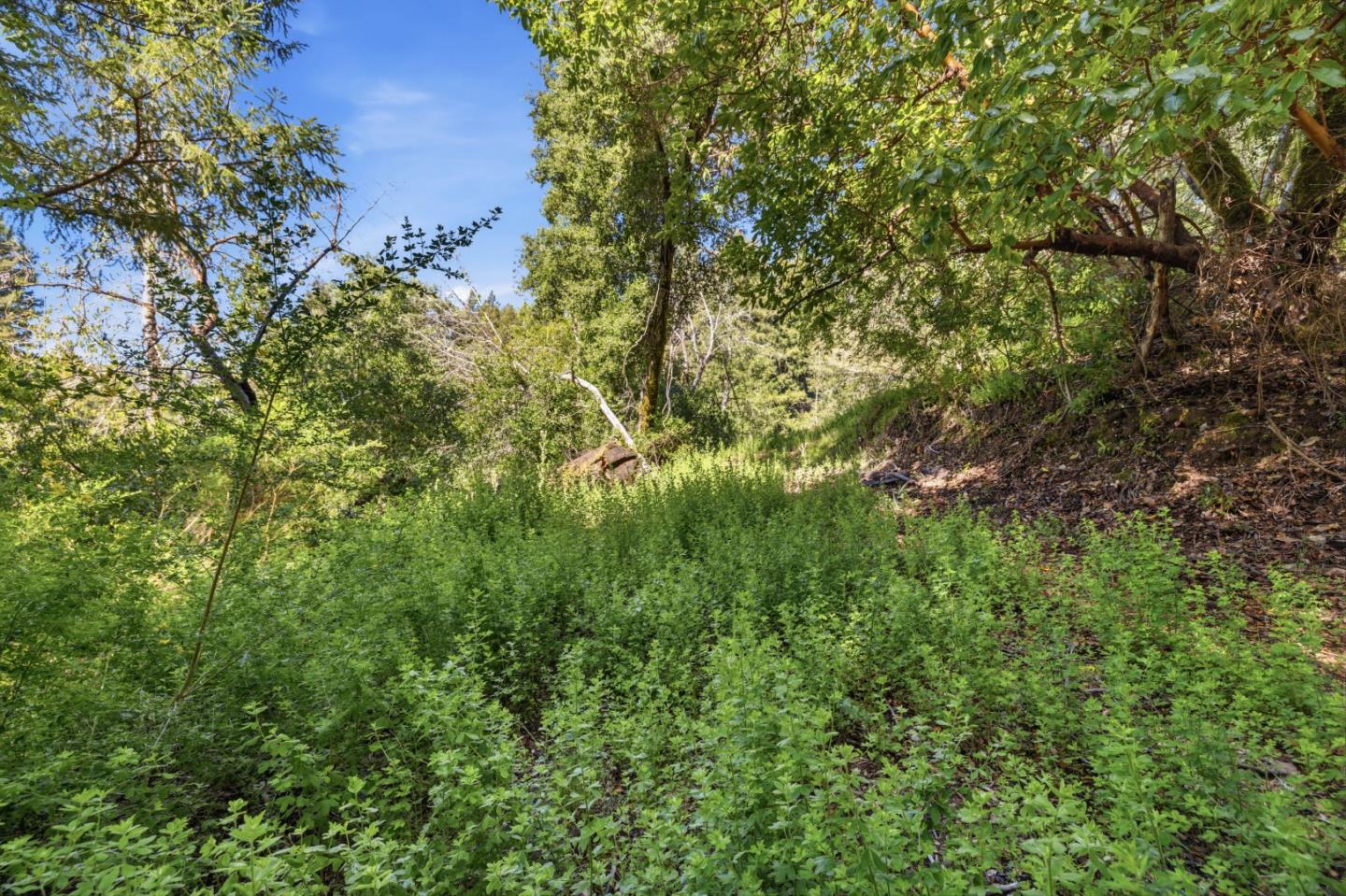Property photo 44