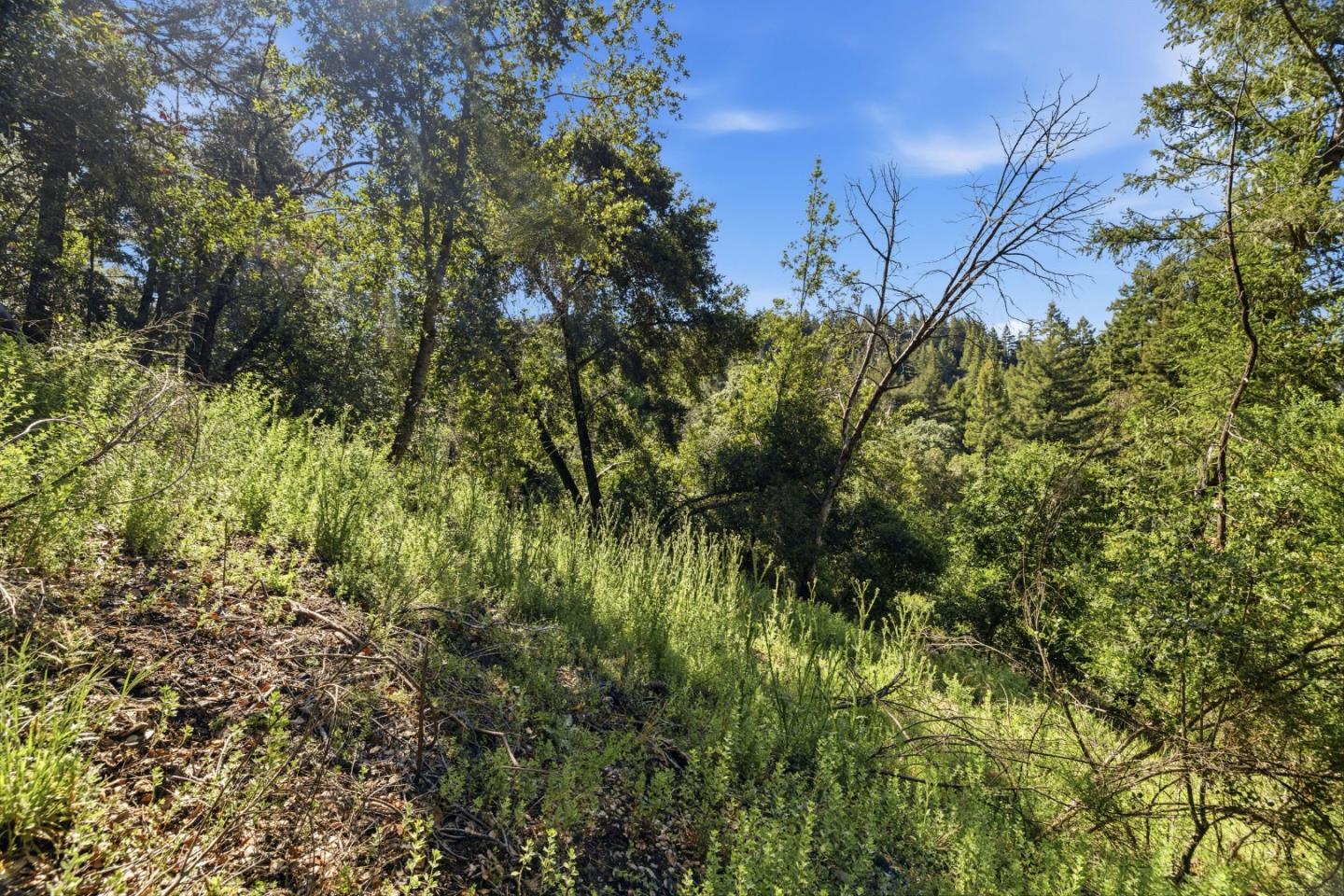 Property photo 46