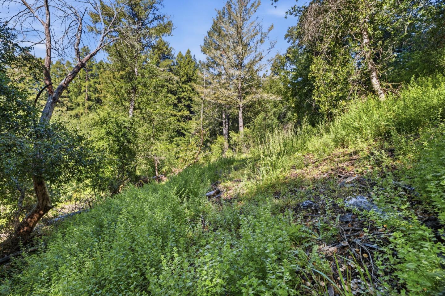 Property photo 47