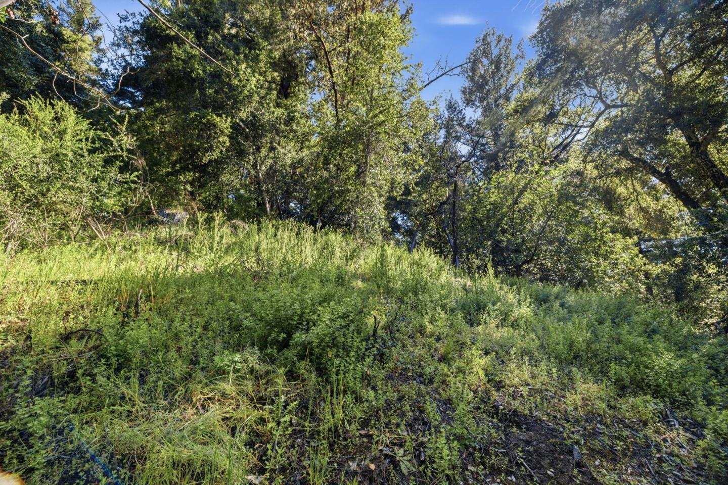 Property photo 48