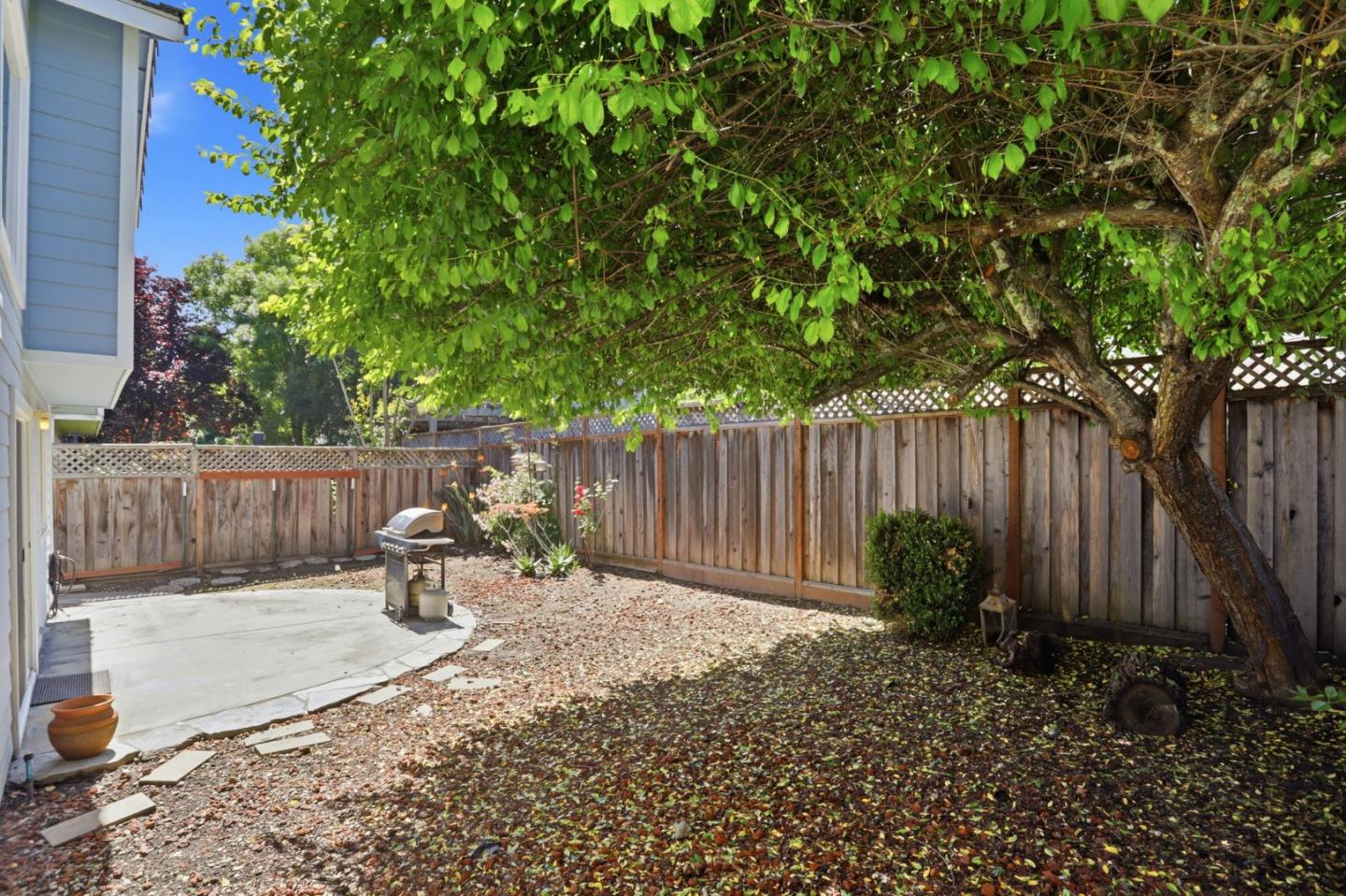 Property photo 44