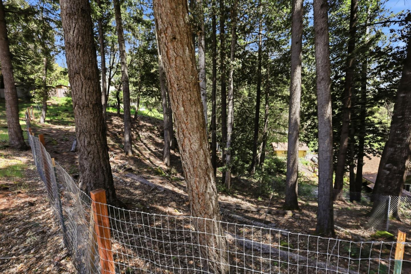 Property photo 47