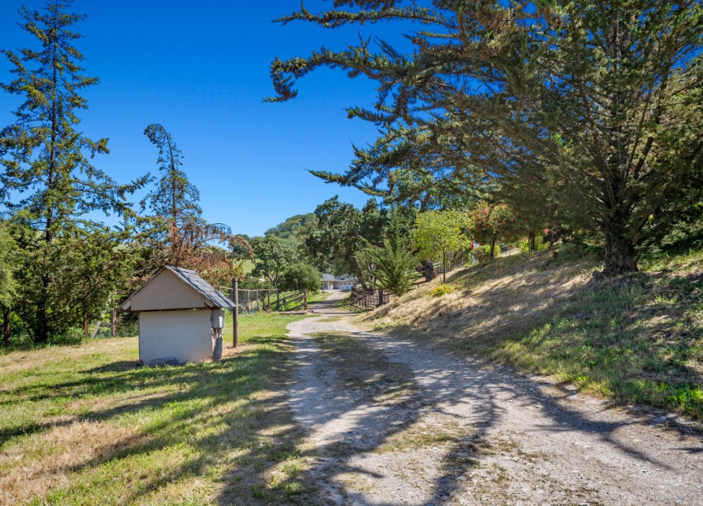 Property photo 47