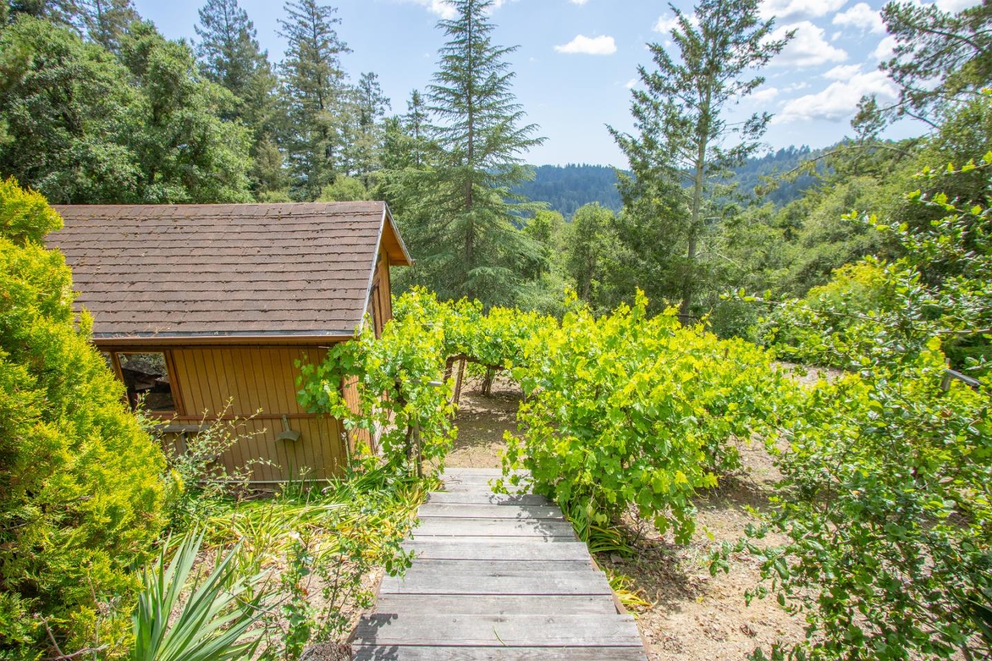 Property photo 41