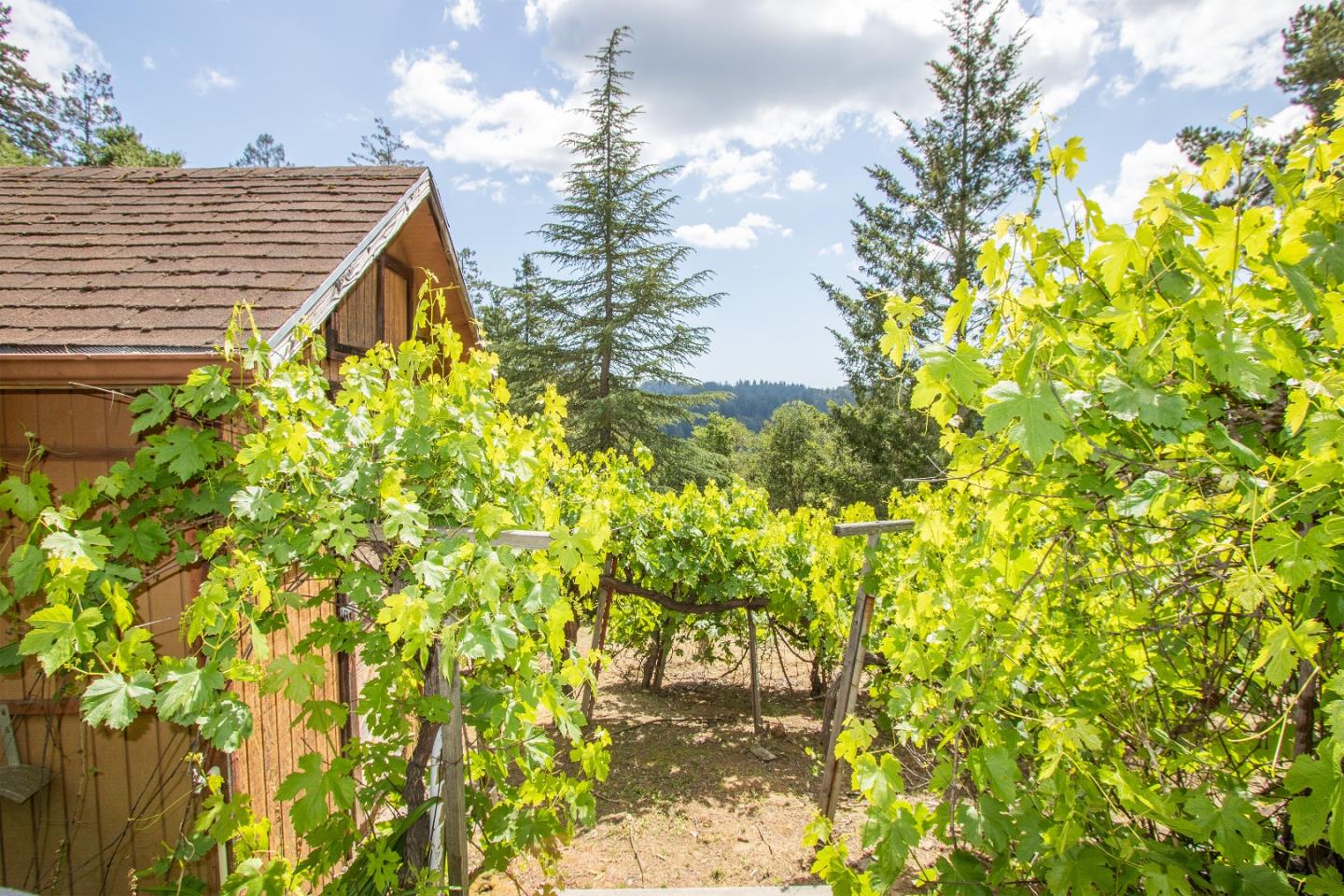 Property photo 42