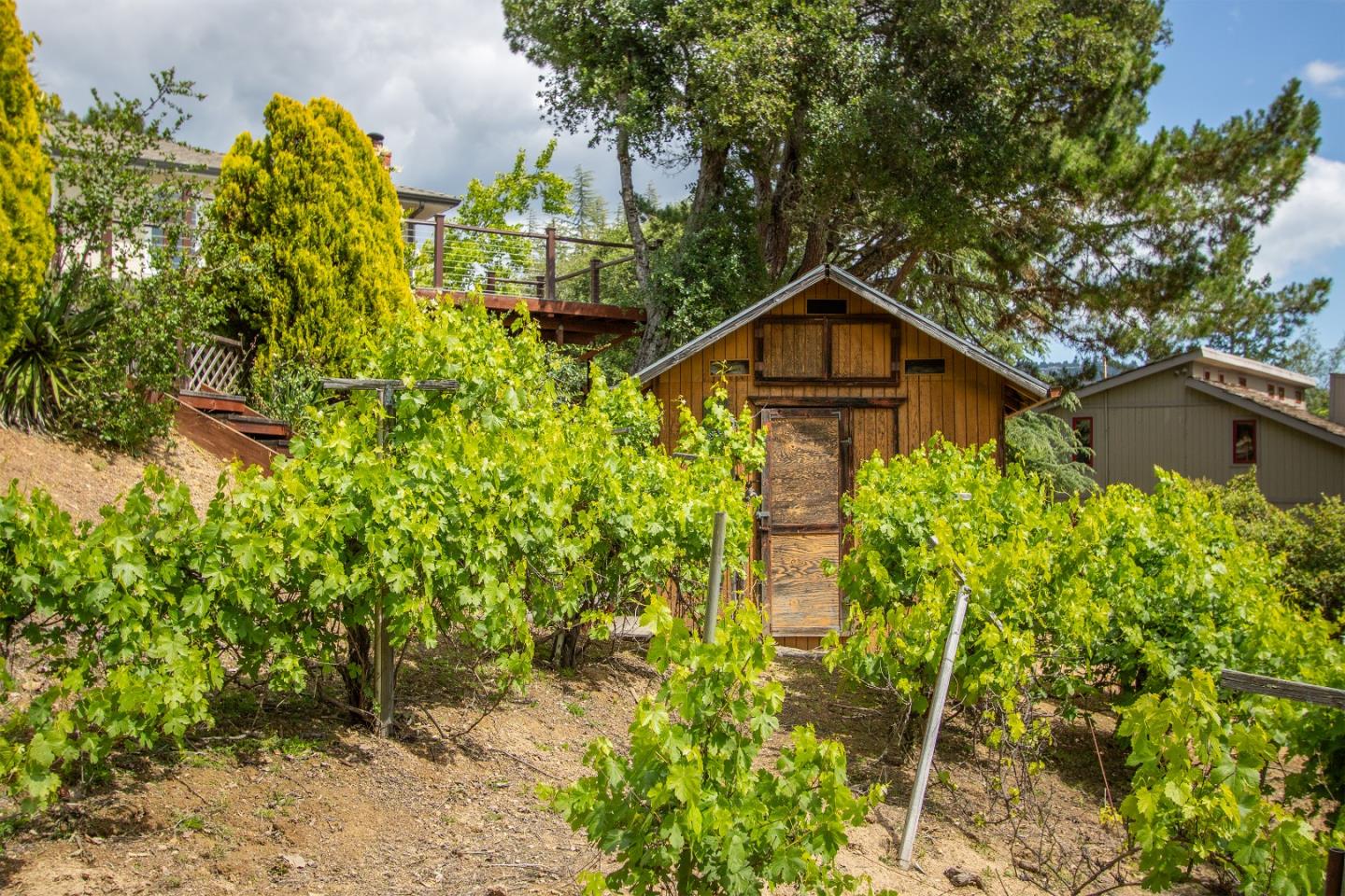 Property photo 43