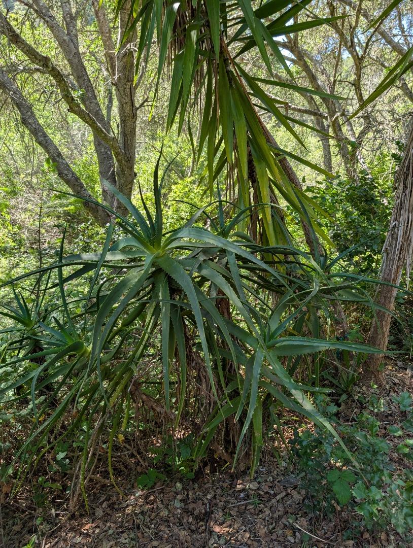 Property photo 22