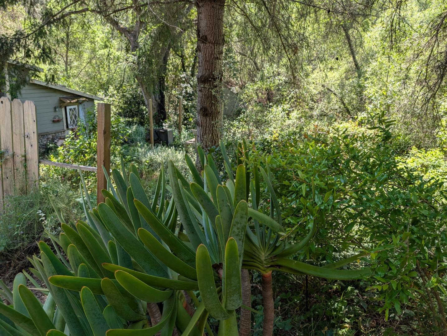 Property photo 23