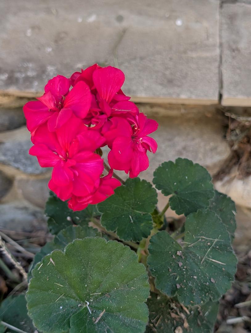 Property photo 24