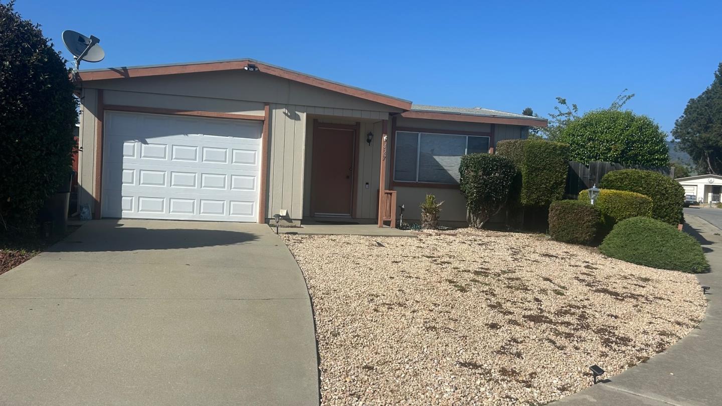 Spruce Cir