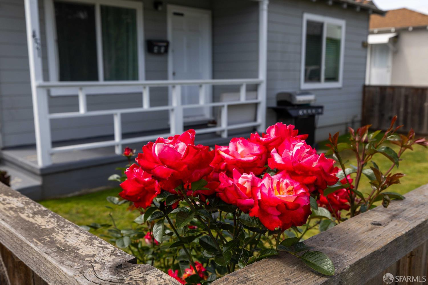 Property photo 25