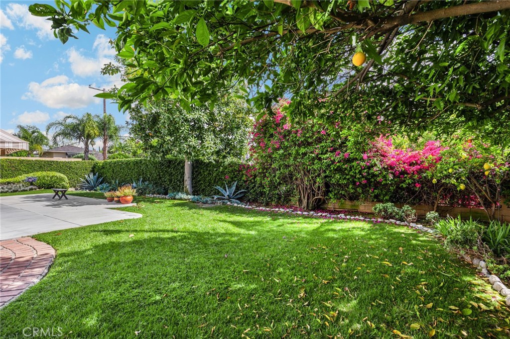 Property photo 43