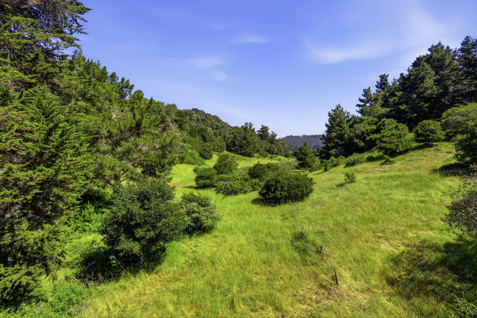 Property photo 48
