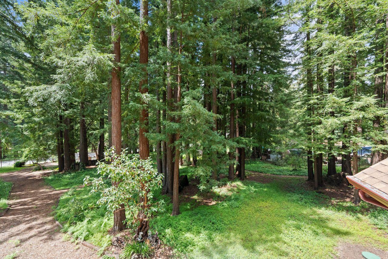 Property photo 45