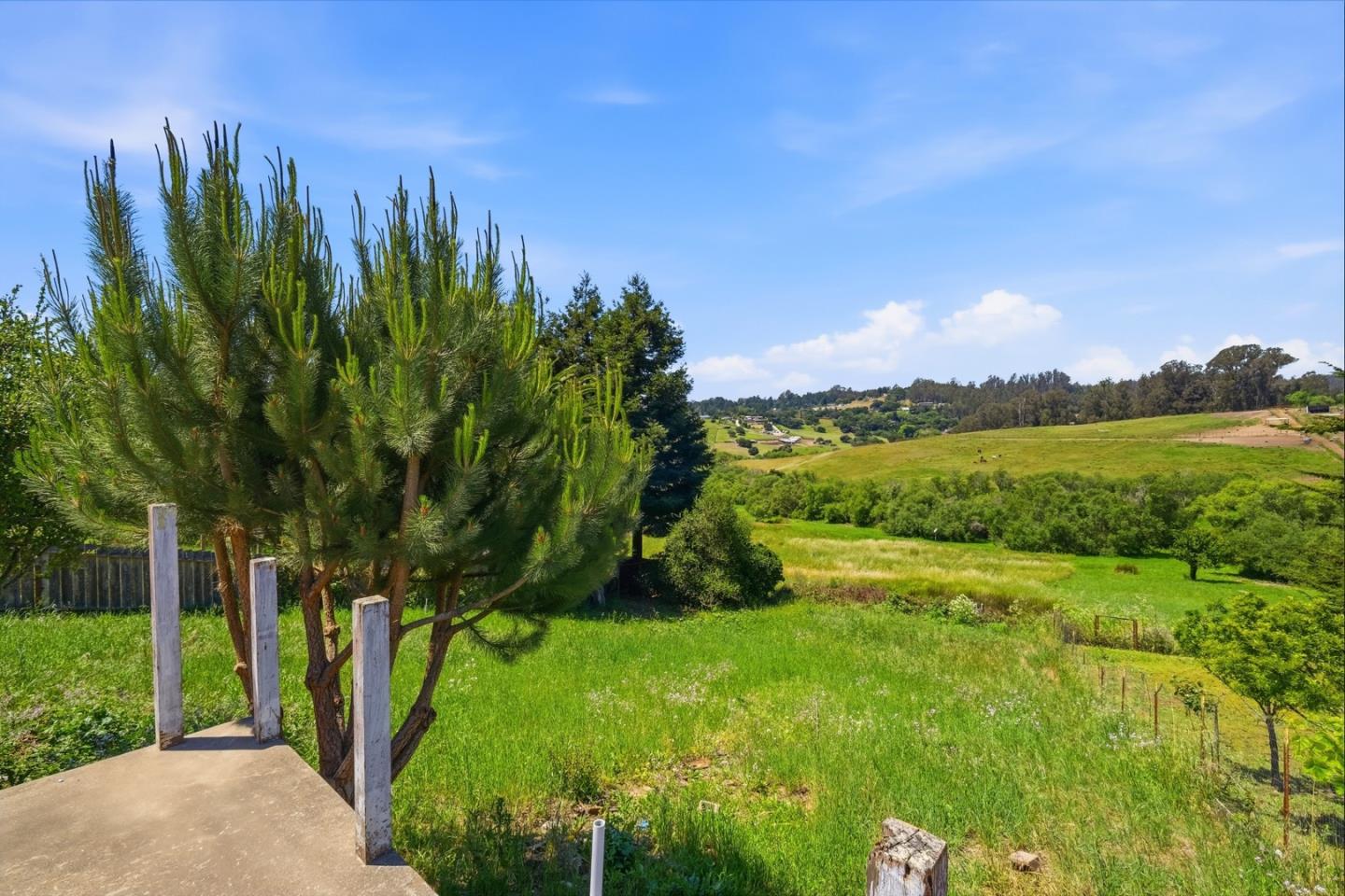 Property photo 39