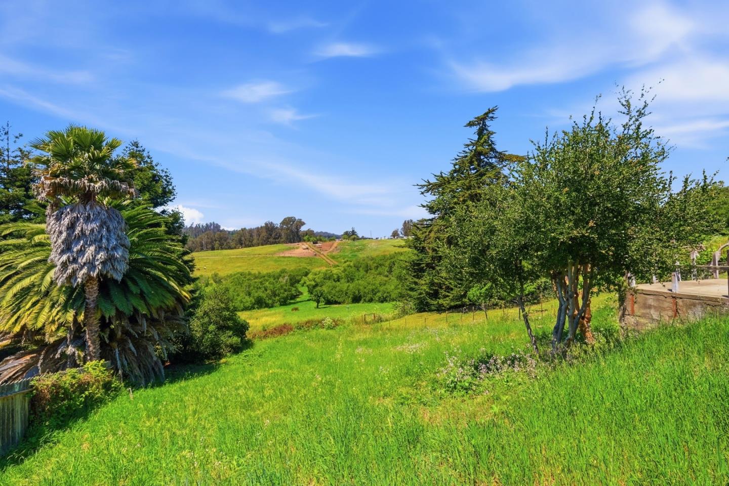 Property photo 42