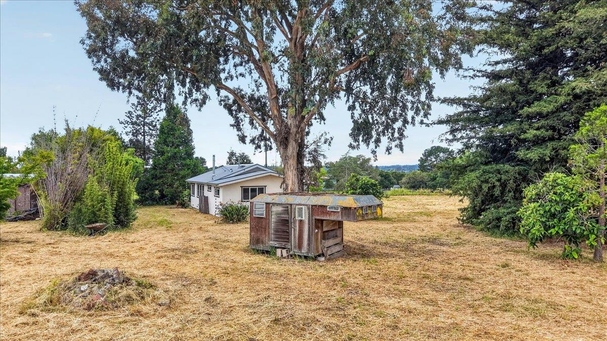Property photo 33