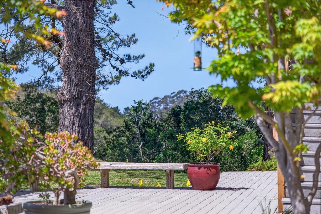 Property photo 39