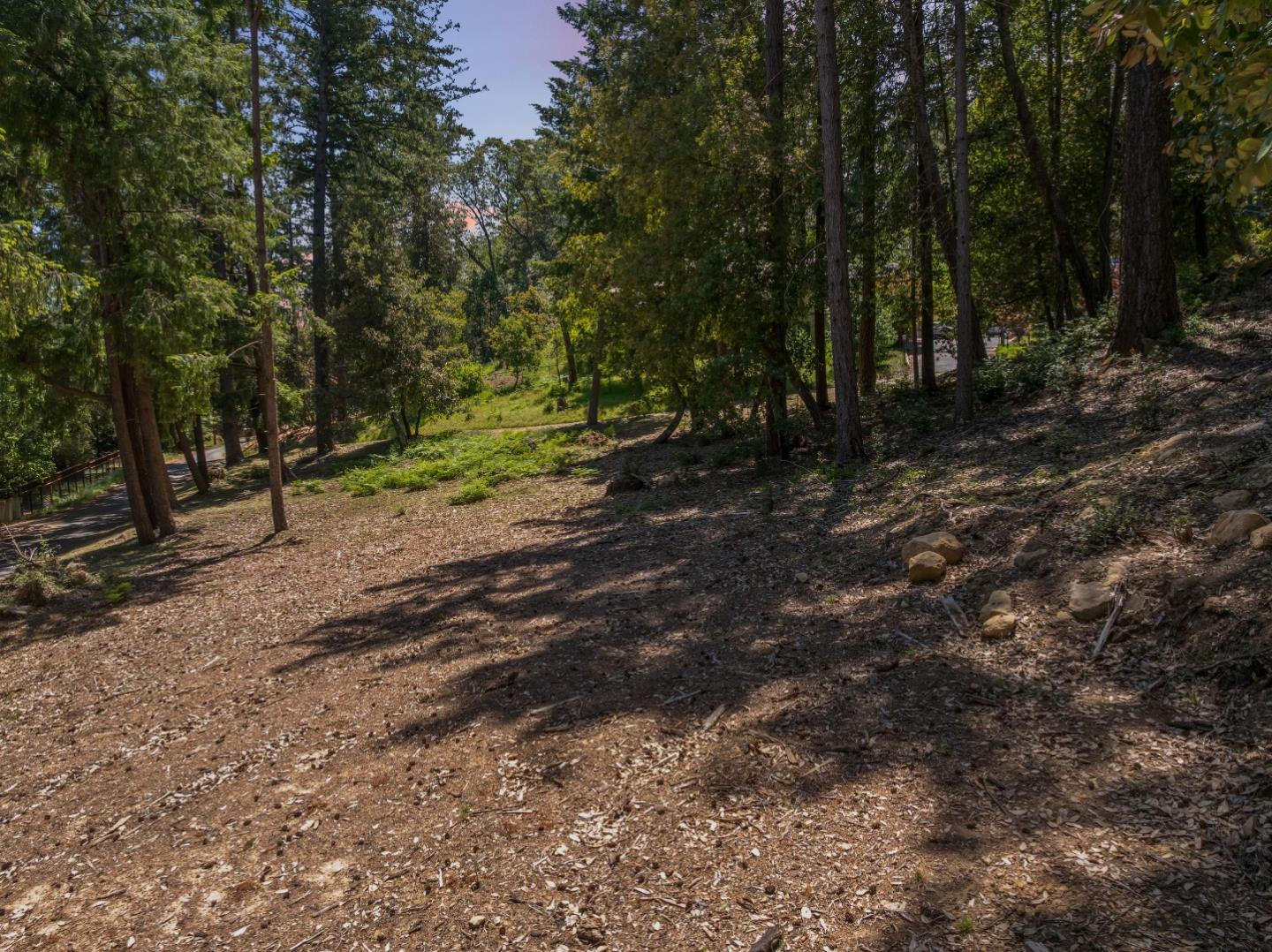 Property photo 21