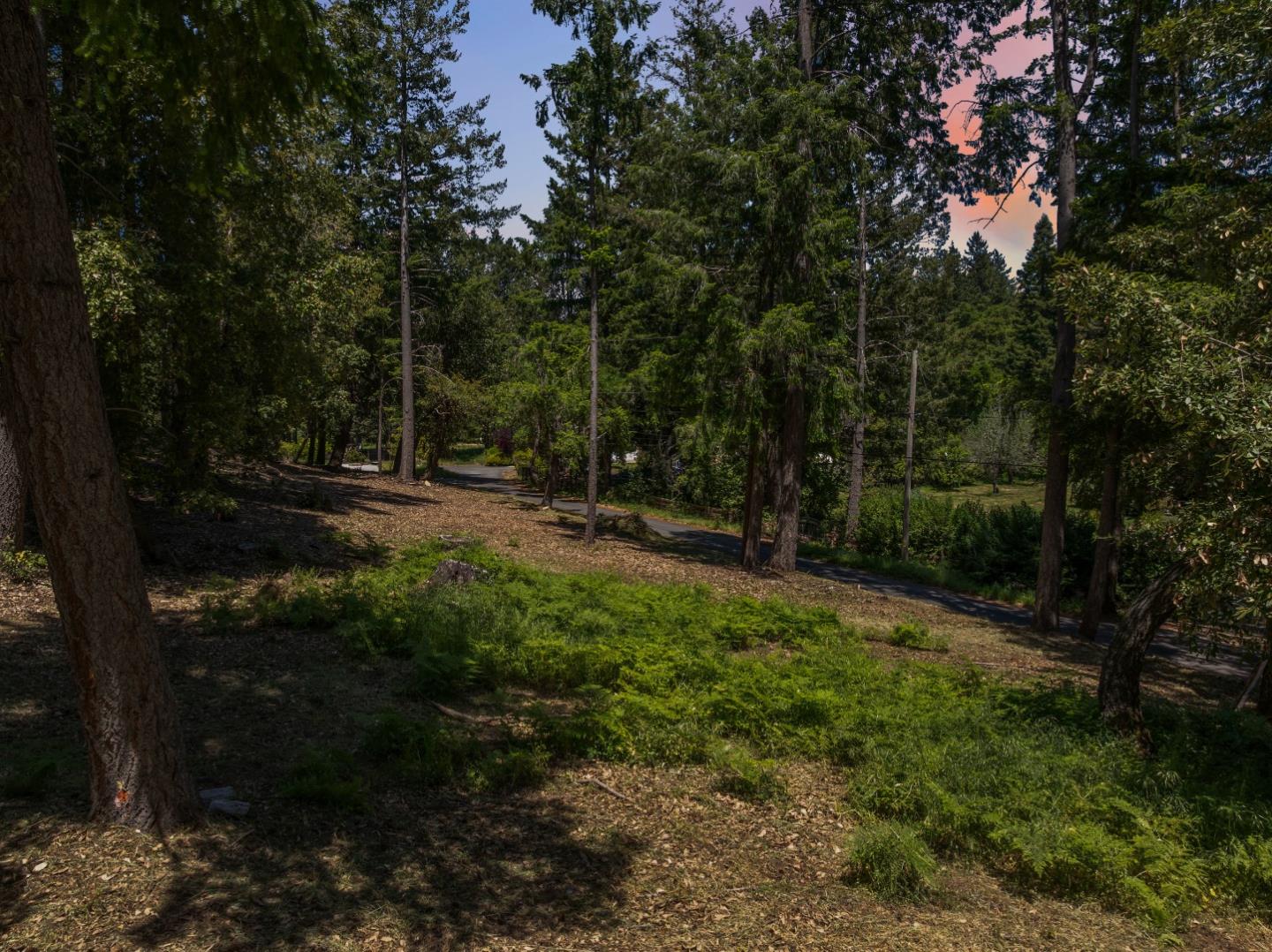 Property photo 23