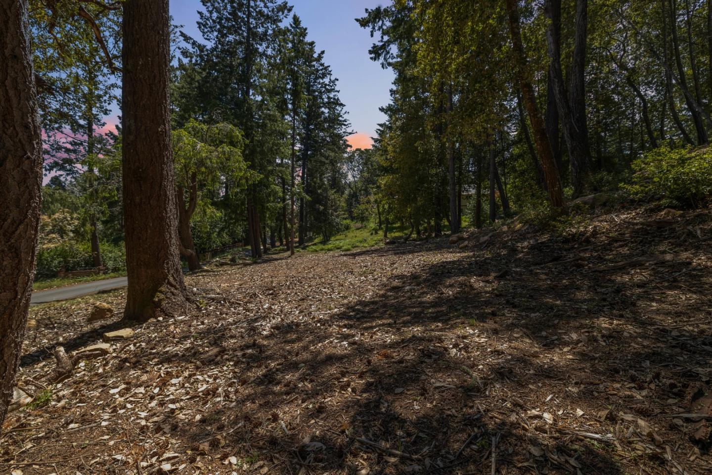 Property photo 28