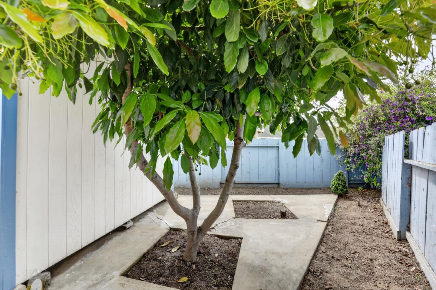Property photo 36