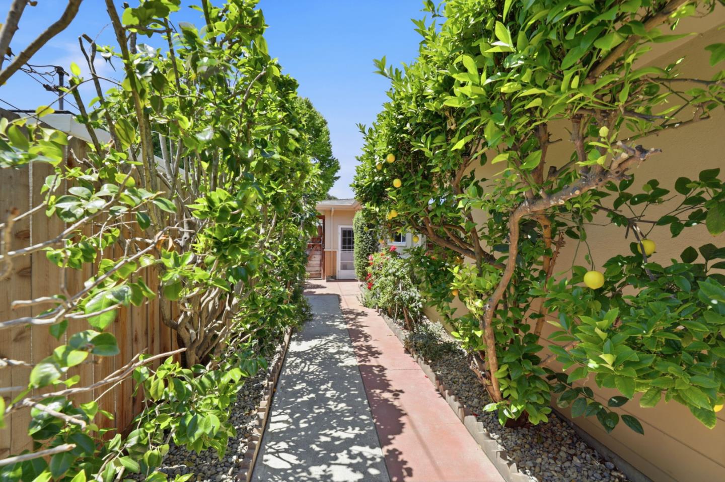 Property photo 44