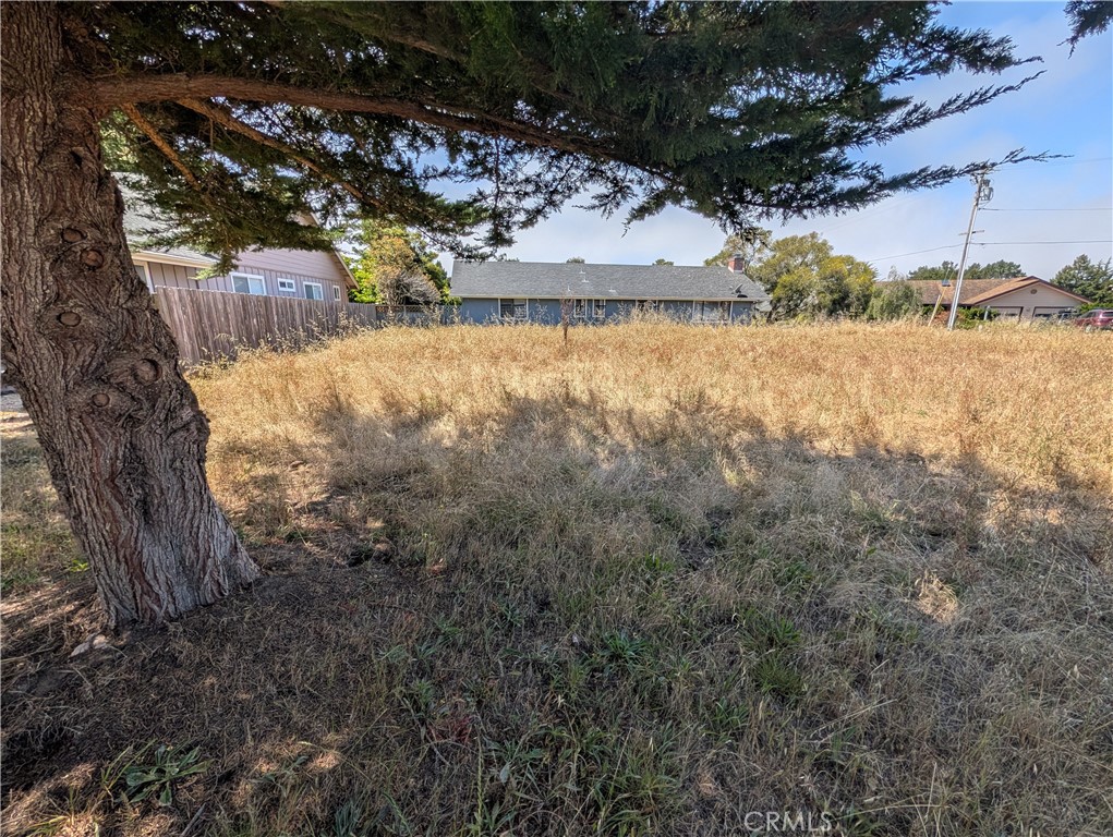 2920 Wood Dr