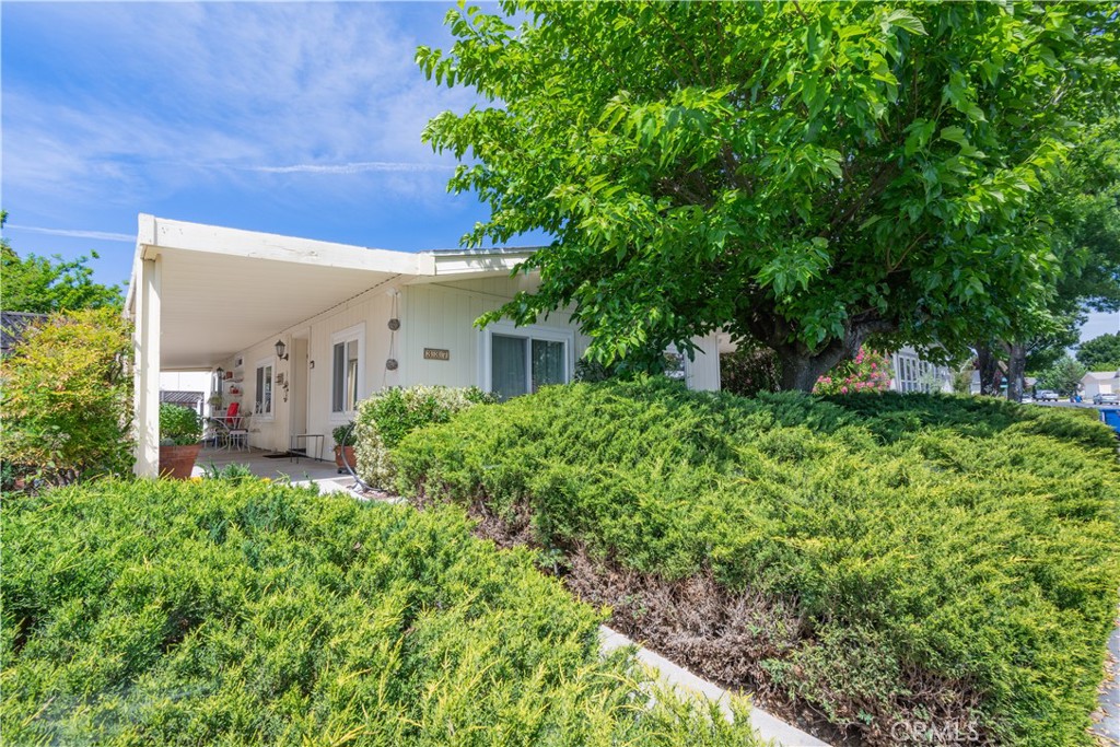 337 Lark Dr