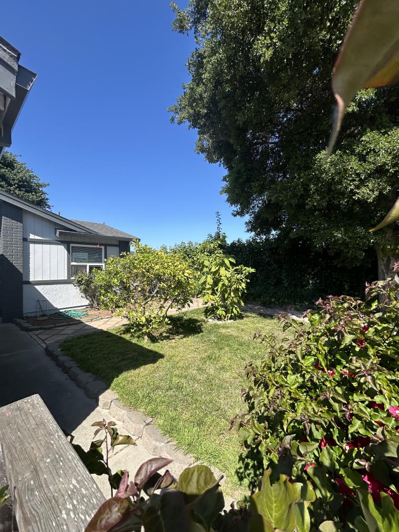Property photo 36