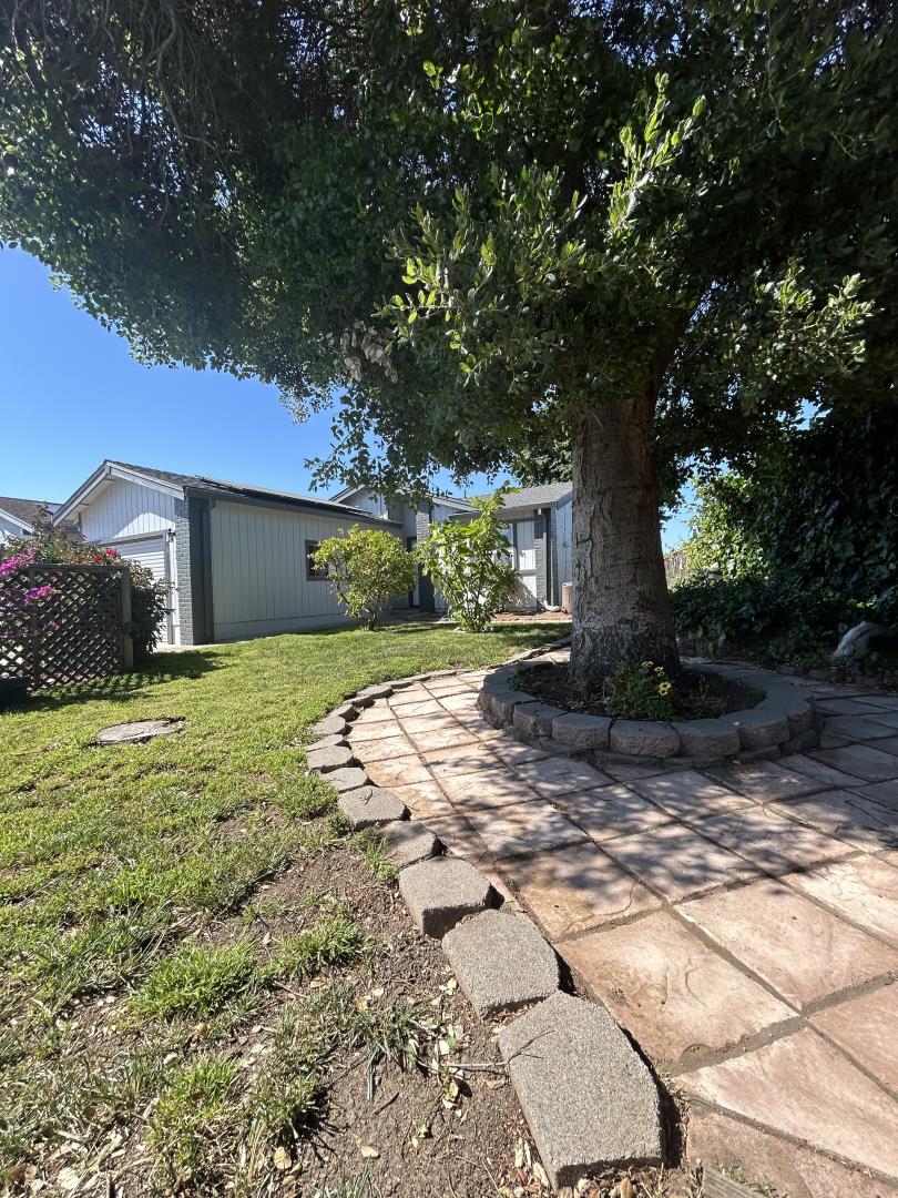 Property photo 37