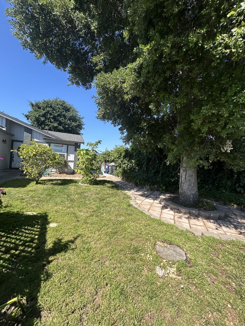 Property photo 38