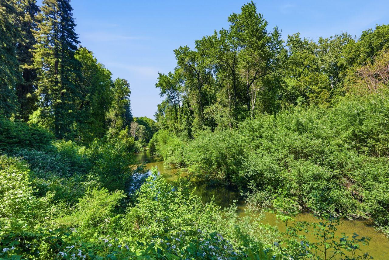Property photo 51
