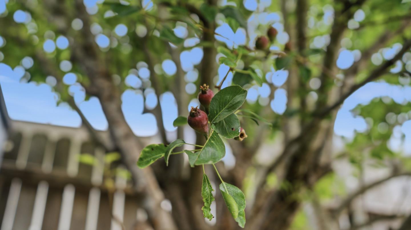 Property photo 49