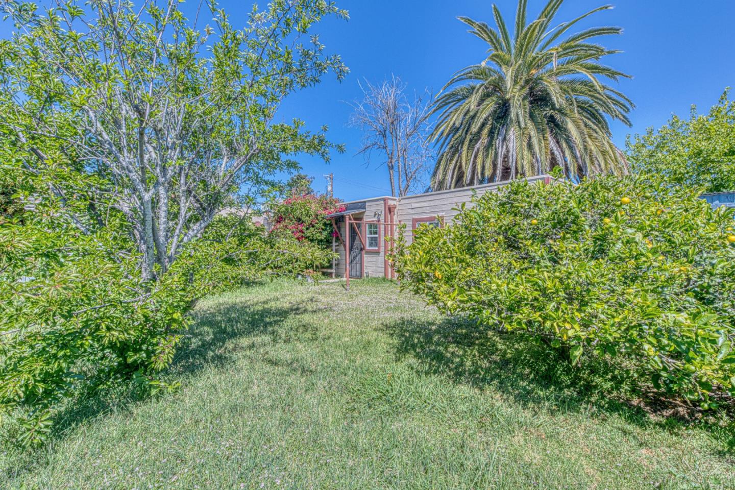 Property photo 50